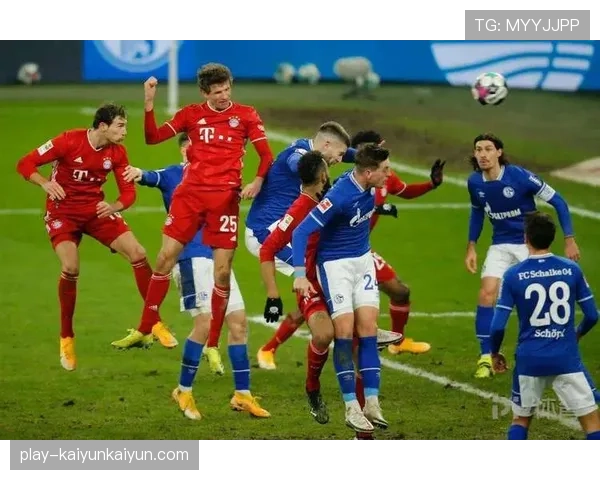 终场哨响，沙尔克04球员与球迷庆祝拿下关键保级三分